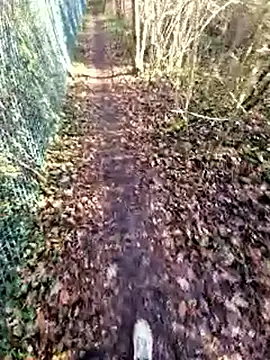 bbyxklaus online show from December 19, 12:34 pm