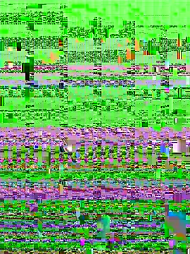 aaaaawhate online show from March 9, 11:36 am