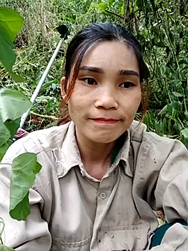 Snapshot of Bear_bear0 chatting on November 3, 7:31 am Bear bear0 online show from November 3, 7:31 am