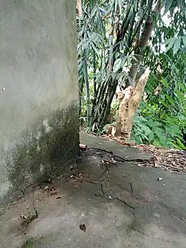 Snapshot of Bear_bear0 chatting on November 8, 1:50 am Bear bear0 online show from November 8, 1:50 am