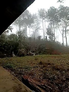 sowbibi online show from December 15, 2:16 am