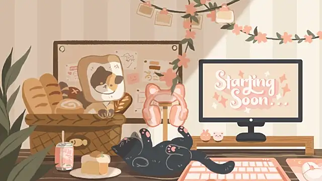 geekycastillo online show from November 27, 11:51 pm