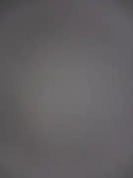 cutepussy356 online show from August 2, 8:24 am