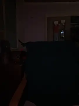 Macduckd online show from February 13, 6:53 am