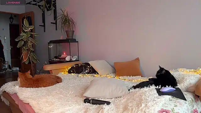 Lin Cherie online show from November 20, 11:21 am