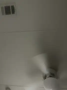 Snapshot of D13ON3L chatting on November 8, 8:03 am D13ON3L online show from November 8, 8:03 am