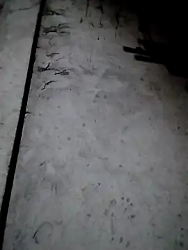 rickkis2k online show from December 13, 9:53 pm