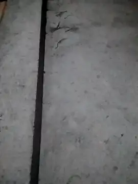 rickkis2k online show from December 16, 10:15 pm