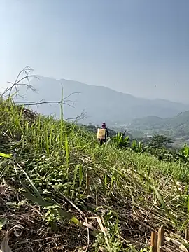 Snapshot of Irin_jo chatting on November 23, 6:46 am Irin jo online show from November 23, 6:46 am