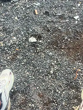 Rico1 1 online show from November 18, 8:41 am