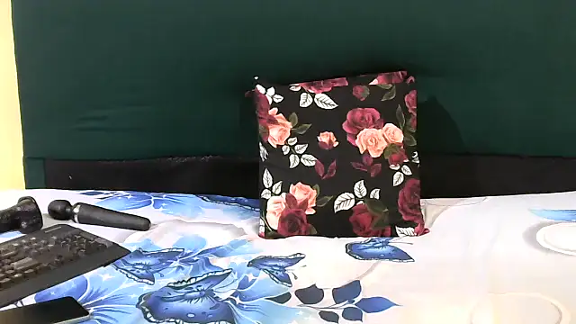 Snapshot of CherryZee chatting on November 14, 6:23 am CherryZee online show from November 14, 6:23 am