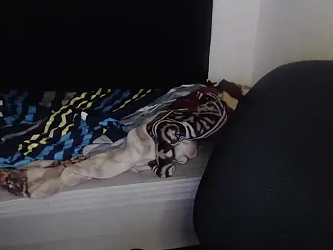 Negritatata online show from November 28, 11:13 am