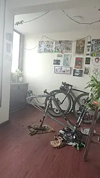 Neciaa online show from April 8, 9:15 pm