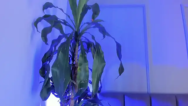 Snapshot of andreanix chatting on May 24, 6:24 pm andreanix online show from May 24, 6:24 pm