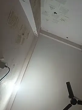 indoregigolo online show from October 29, 3:03 pm