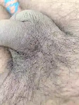 Snapshot of desicoupleNoon chatting on November 26, 5:30 am desicoupleNoon online show from November 26, 5:30 am