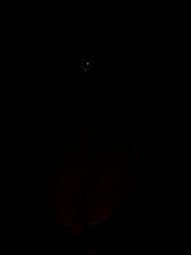 Mampykolkata online show from November 15, 5:42 pm