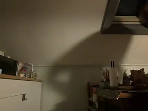 davi73d online show from December 14, 3:01 am