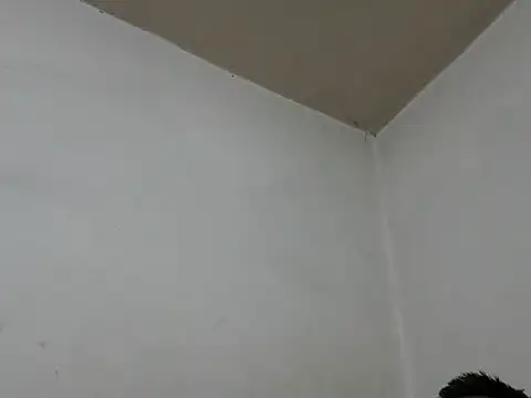 GordoChancludoSLP online show from November 25, 4:45 am