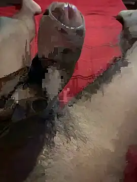 vijay20k online show from March 3, 8:15 pm