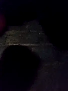 bella-la online show from November 30, 11:25 am