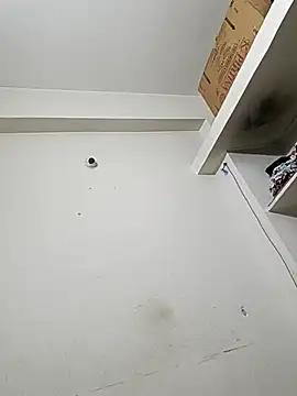 bigtelugubhama online show from December 14, 11:53 pm