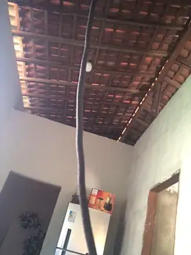 Snapshot of Ralf2011 chatting on December 4, 5:54 pm Ralf2011 online show from December 4, 5:54 pm