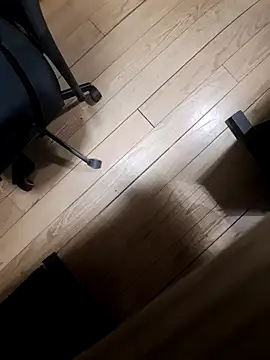 Snapshot of EchoVibe_86 chatting on December 22, 3:31 pm EchoVibe 86 online show from December 22, 3:31 pm