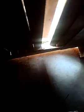 Snapshot of Pandey0012 chatting on March 16, 12:09 pm Pandey0012 online show from March 16, 12:09 pm