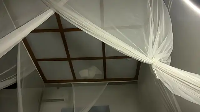 Bae Belle online show from December 21, 2:19 am