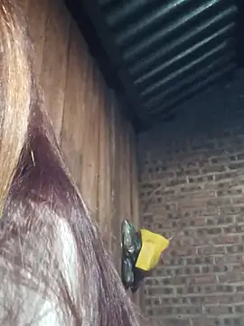 HGiasexy69 online show from November 2, 10:23 pm