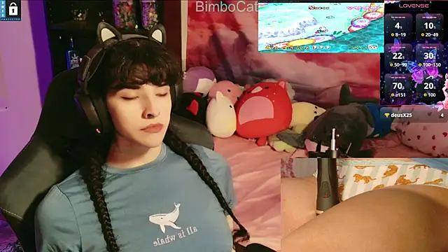 BimboCat online show from November 20, 2:56 am