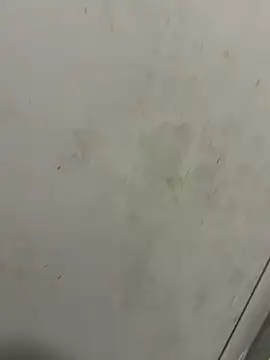 Snapshot of Isamperry69 chatting on October 31, 4:02 am Isamperry69 online show from October 31, 4:02 am