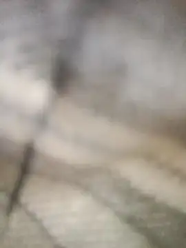 Pallu Asha online show from March 1, 4:25 am