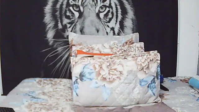 MassiveBoobsxxxx online show from February 4, 7:09 pm