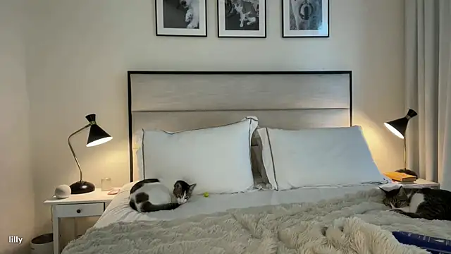 Itslillybloom online show from November 7, 4:23 am