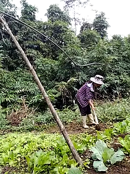 Snapshot of be-yeu chatting on November 5, 2:22 am be-yeu online show from November 5, 2:22 am