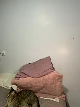 lele inocente online show from March 11, 12:16 am