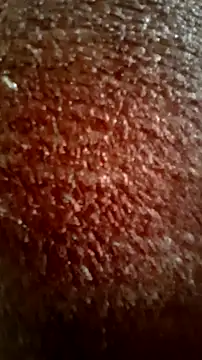 CEEKAYPRO online show from March 15, 9:04 am