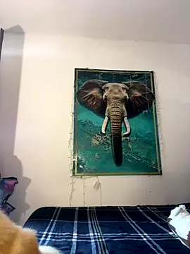 alisaa jhons1 online show from December 14, 4:56 pm