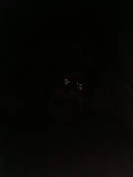 Snapshot of bruno_324278 chatting on May 28, 2:53 am bruno 324278 online show from May 28, 2:53 am