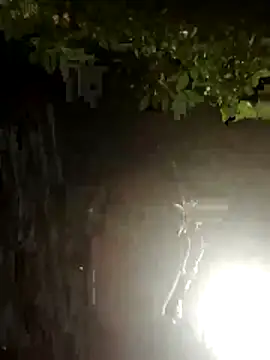 ParlousCarpet online show from March 10, 7:41 pm