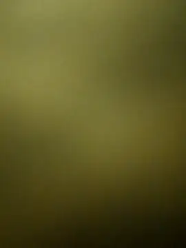 Snapshot of crazy_boy55 chatting on December 15, 5:28 pm crazy boy55 online show from December 15, 5:28 pm