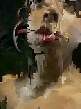 Snapshot of mara_rosseX chatting on November 9, 6:33 am mara rosseX online show from November 9, 6:33 am