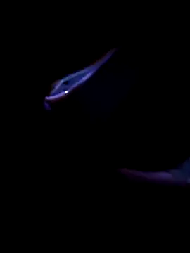 Snapshot of fireblond01 chatting on November 12, 2:34 am fireblond01 online show from November 12, 2:34 am