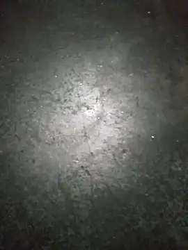 WillfulVideo online show from November 13, 9:52 am