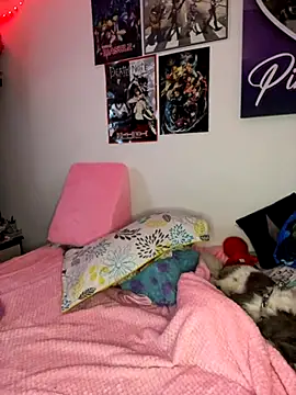 Just danna online show from November 25, 6:24 am