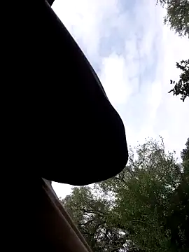 Snapshot of Mc02 chatting on November 11, 12:38 pm Mc02 online show from November 11, 12:38 pm