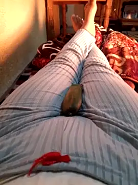 Tota sexi online show from December 4, 11:30 am