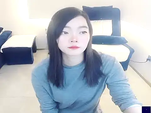 Snapshot of Shaurk chatting on December 4, 2:43 am Shaurk online show from December 4, 2:43 am